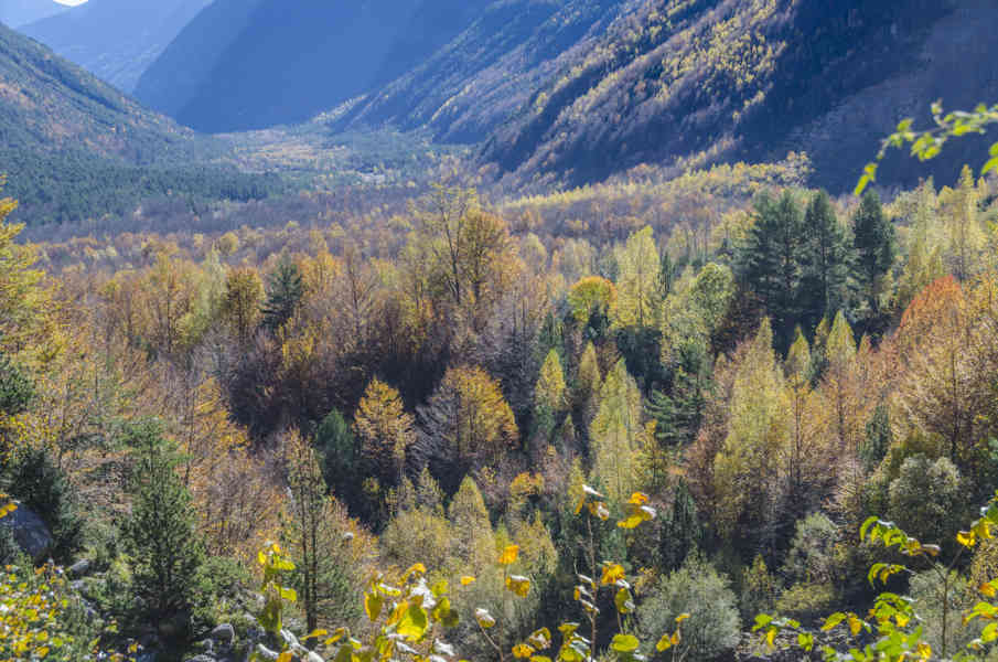 Huesca - parque nacional de Ordesa y Monte Perdido - valle de Pineta 23.jpg